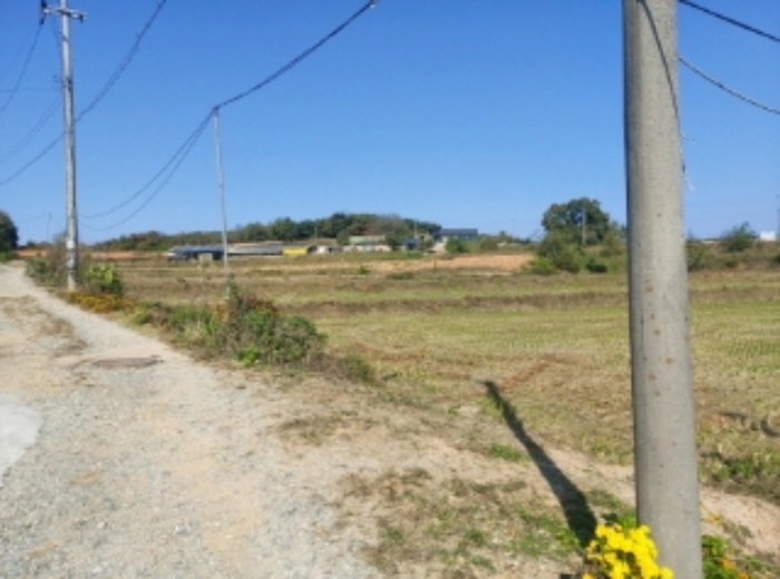 충청남도 당진시 순성면 봉소리 21 외 8필지 답 경매 사진 1