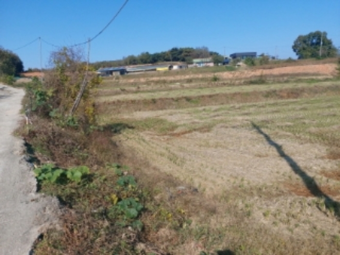 충청남도 당진시 순성면 봉소리 21 외 8필지 답 경매 사진 17