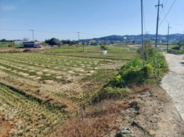 충청남도 당진시 순성면 봉소리 21 외 8필지 답 경매 사진 18