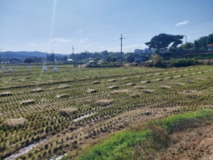 충청남도 당진시 순성면 봉소리 21 외 8필지 답 경매 사진 21