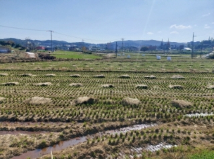 충청남도 당진시 순성면 봉소리 21 외 8필지 답 경매 사진 22