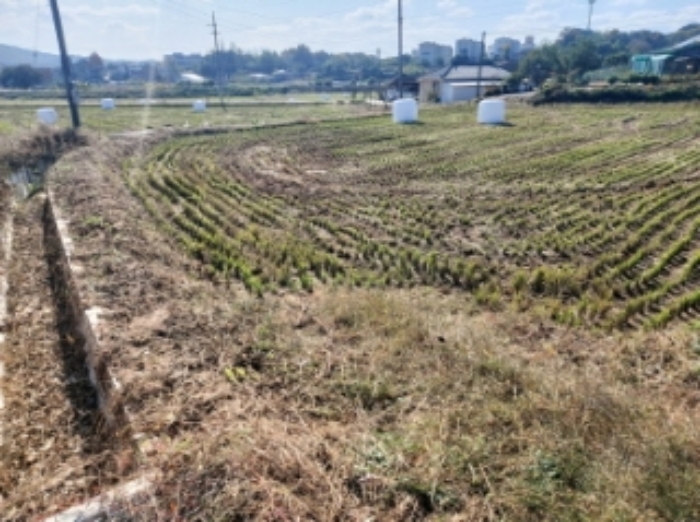 충청남도 당진시 순성면 봉소리 21 외 8필지 답 경매 사진 28
