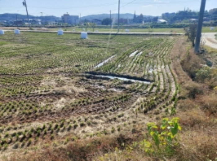 충청남도 당진시 순성면 봉소리 21 외 8필지 답 경매 사진 31