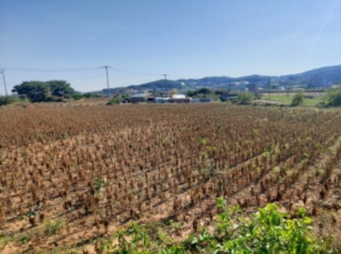 충청남도 당진시 순성면 봉소리 21 외 8필지 답 경매 사진 36