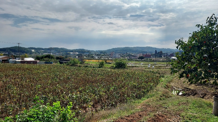 충청남도 당진시 순성면 봉소리 21 외 8필지 답 경매 사진 44