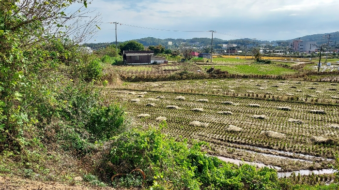 충청남도 당진시 순성면 봉소리 21 외 8필지 답 경매 사진 45