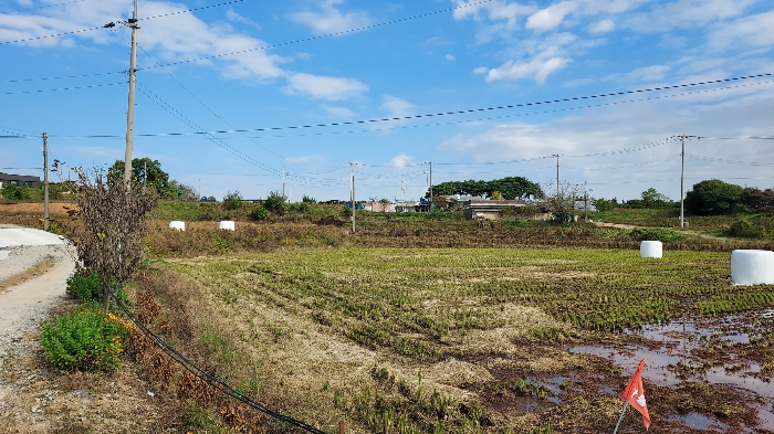 충청남도 당진시 순성면 봉소리 21 외 8필지 답 경매 사진 46