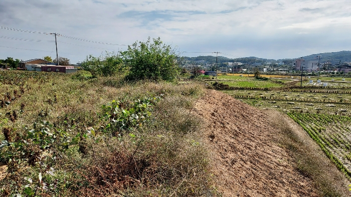 충청남도 당진시 순성면 봉소리 21 외 8필지 답 경매 사진 48