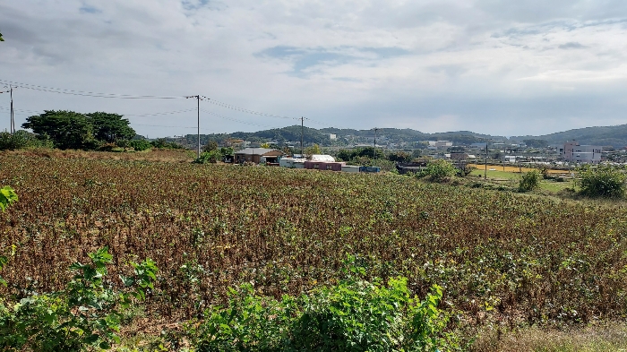 충청남도 당진시 순성면 봉소리 21 외 8필지 답 경매 사진 49