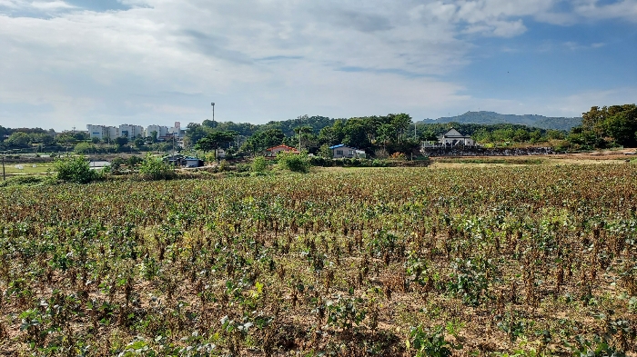 충청남도 당진시 순성면 봉소리 21 외 8필지 답 경매 사진 50