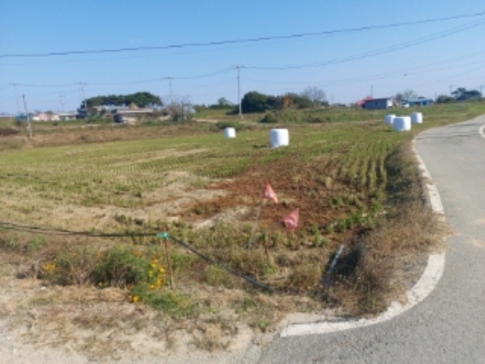 충청남도 당진시 순성면 봉소리 21 외 8필지 답 경매 사진 6
