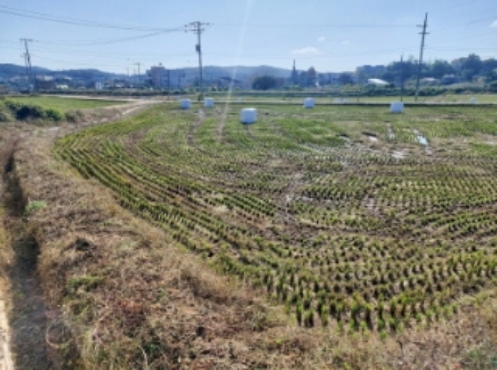 충청남도 당진시 순성면 봉소리 21 외 8필지 답 경매 사진 10