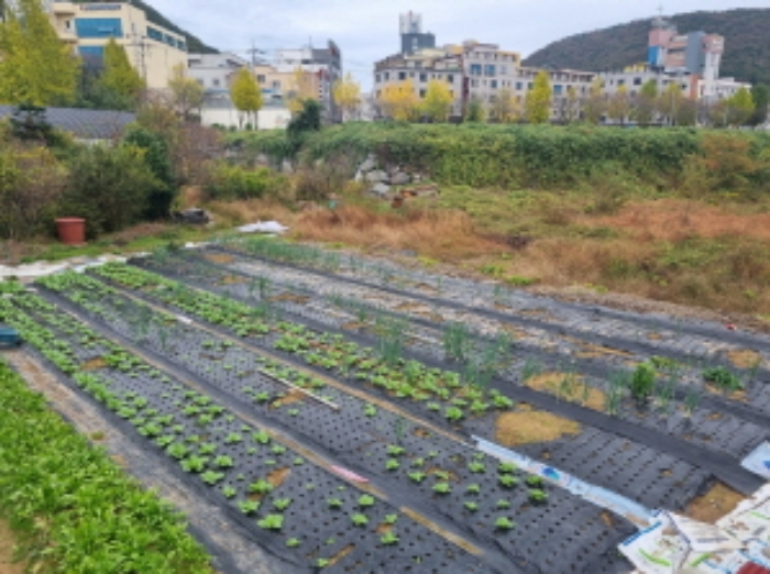 전라남도 여수시 미평동 644-1 답 경매 사진 17