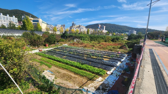 전라남도 여수시 미평동 644-1 답 경매 사진 24