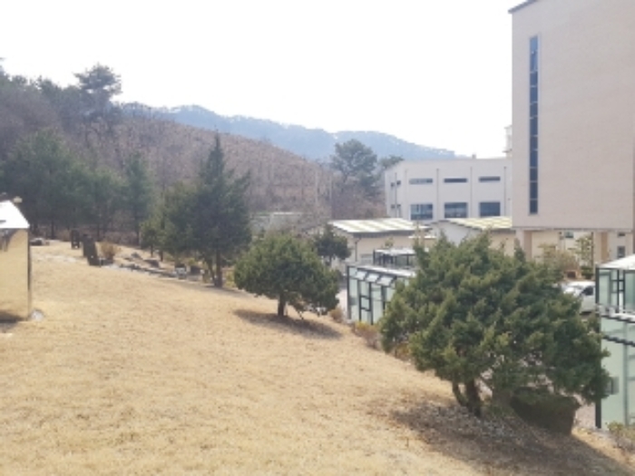강원특별자치도 춘천시 동면 월곡리 246 외 2필지 문화및집회시설 경매 사진 17