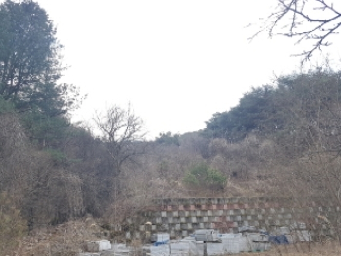 강원특별자치도 춘천시 동면 월곡리 525 외 3필지 공장 경매 사진 11