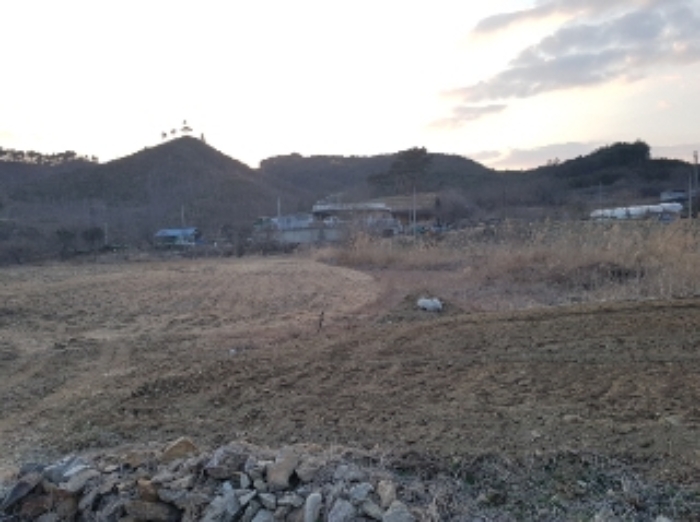 강원특별자치도 춘천시 동면 월곡리 279 외 3필지 답 경매 사진 1