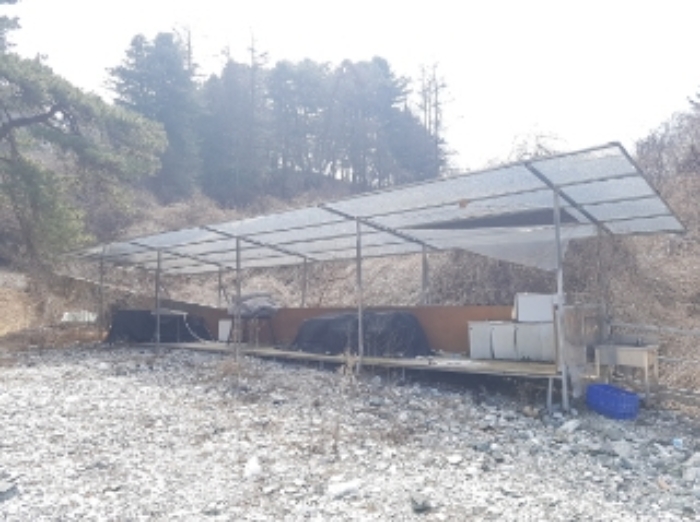 강원특별자치도 춘천시 동면 월곡리 99-2 외 1필지 잡종지 경매 사진 2