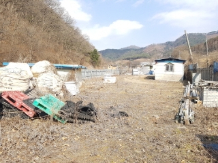 강원특별자치도 춘천시 동면 월곡리 479 답 경매 사진 1