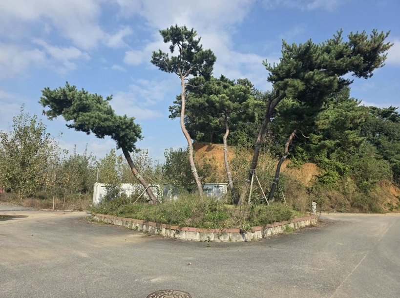 충청남도 아산시 둔포면 송용리 48-82 외 5필지 잡종지 경매 사진 11