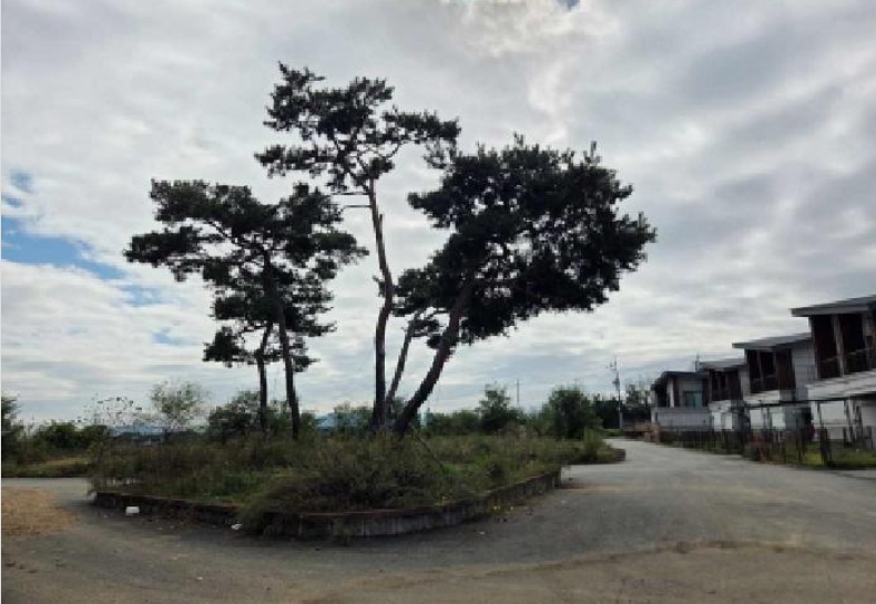 충청남도 아산시 둔포면 송용리 48-82 외 5필지 잡종지 경매 사진 23