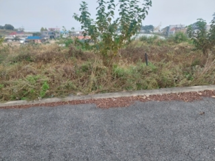 충청남도 아산시 둔포면 송용리 48-82 외 5필지 잡종지 경매 사진 45