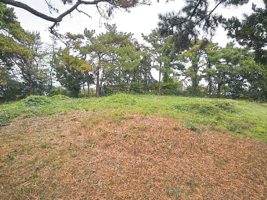 경상북도 경산시 자인면 서부리 413 임야 경매 사진 6