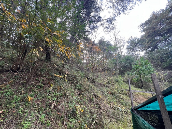 경상북도 영주시 이산면 석포리 435 전 경매 사진 2