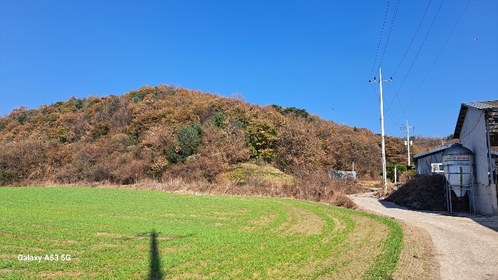 경기도 연천군 신서면 답곡리 산128 임야 경매 사진 3