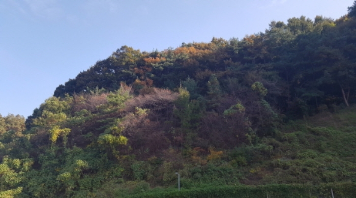 경기도 안성시 원곡면 성은리 산45-1 외 3필지 창고시설 경매 사진 6