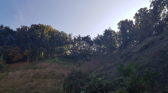 경기도 안성시 원곡면 성은리 산45-1 외 3필지 창고시설 경매 사진 8