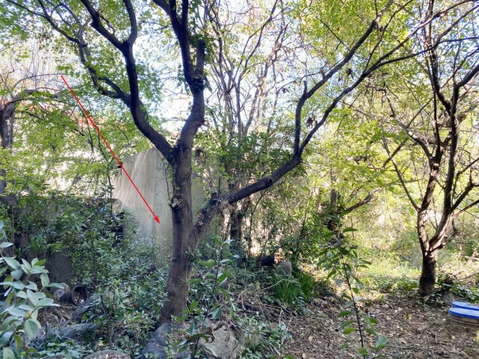 대구광역시 달성군 현풍읍 부리 285 외 7필지 근린생활시설 경매 사진 33