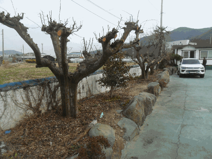 경상남도 창원시 마산합포구 진전면 오서리 388 외 4필지 창고시설 경매 사진 43