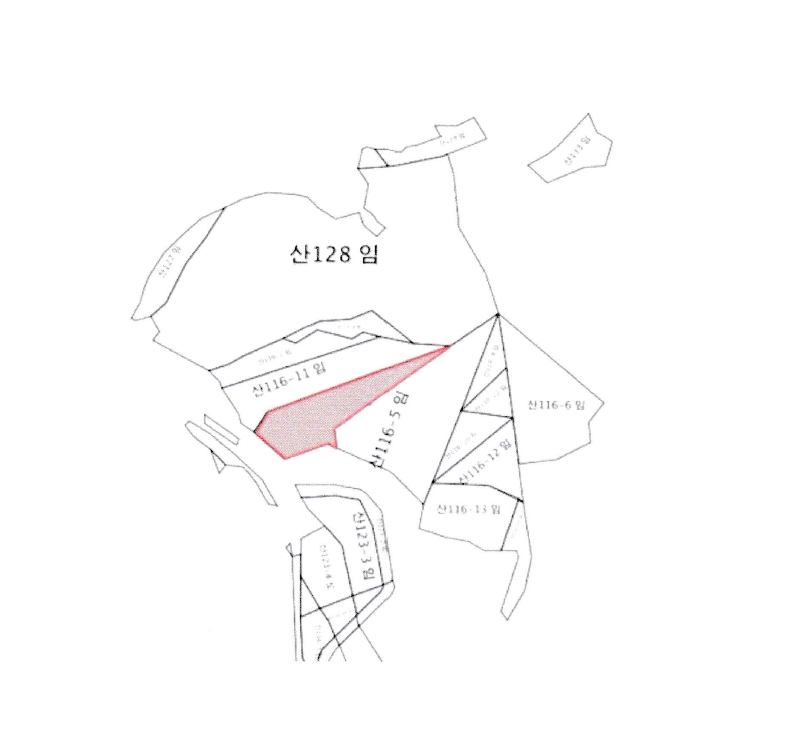 경기도 화성시 송산면 중송리 산116-4 임야 경매 사진 24