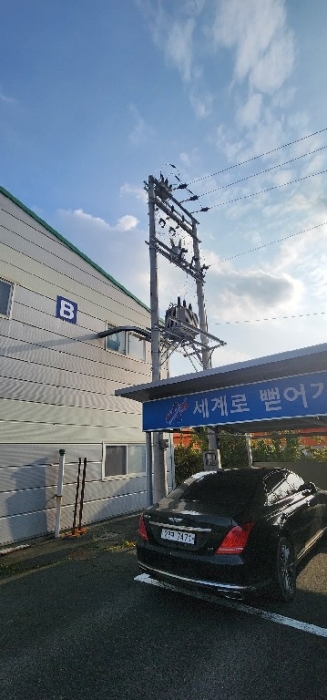 경상북도 영천시 고경면 상덕리 289-1 외 9필지 공장 경매 사진 123