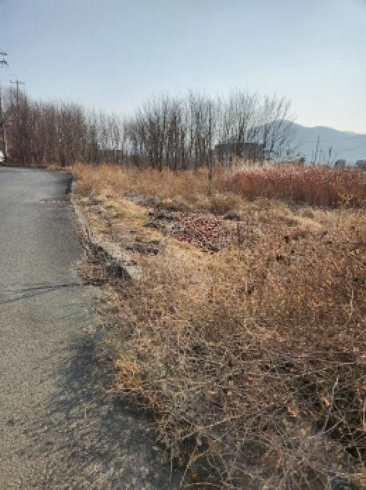 경상북도 영천시 고경면 상덕리 289-1 외 9필지 공장 경매 사진 56