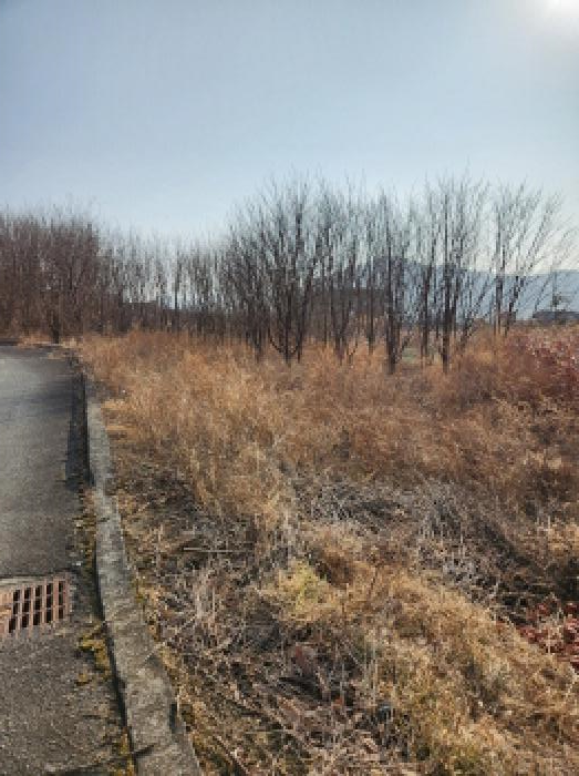 경상북도 영천시 고경면 상덕리 289-1 외 9필지 공장 경매 사진 57