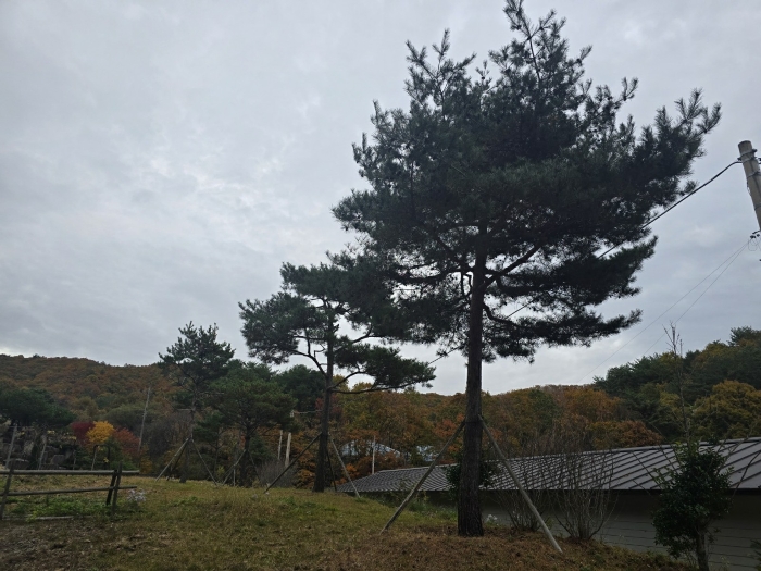 경상남도 산청군 시천면 반천리 670 외 6필지 단독주택 경매 사진 21