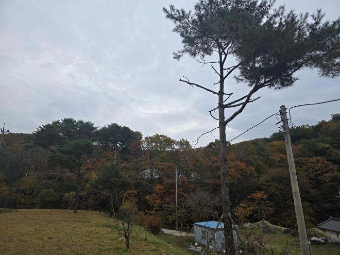 경상남도 산청군 시천면 반천리 670 외 6필지 단독주택 경매 사진 32