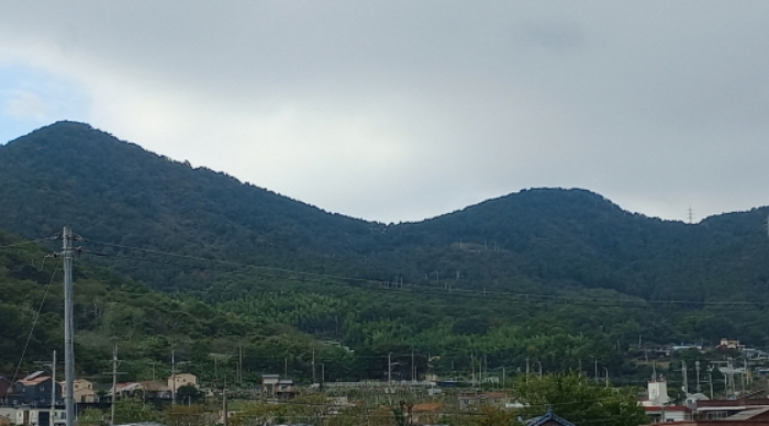 경상남도 거제시 거제면 옥산리 산58-5 임야 경매 사진 1