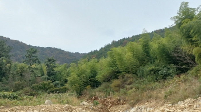 경상남도 거제시 거제면 옥산리 산58-5 임야 경매 사진 3