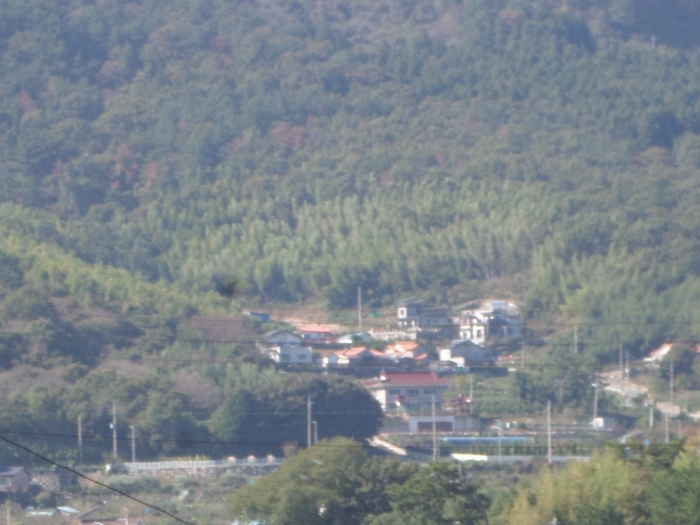 경상남도 거제시 거제면 옥산리 산58-5 임야 경매 사진 5