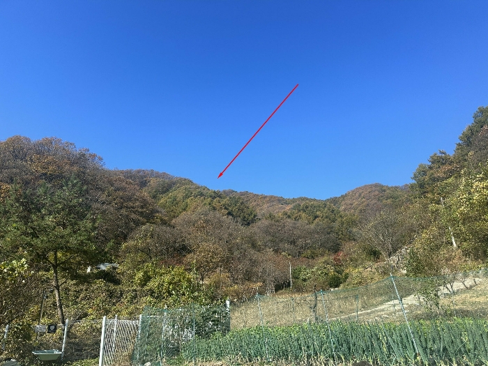 경기도 가평군 가평읍 산유리 산198-8 임야 경매 사진 12