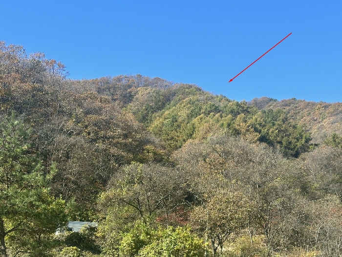 경기도 가평군 가평읍 산유리 산198-8 임야 경매 사진 13
