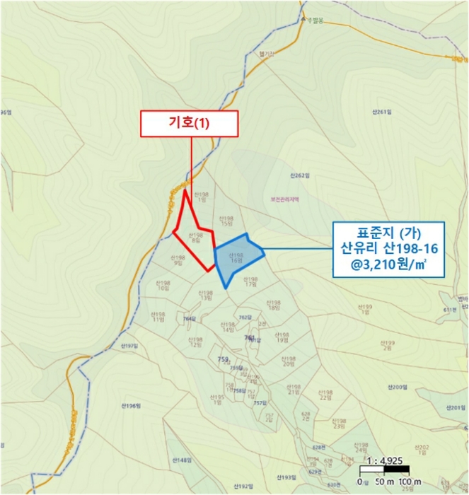 경기도 가평군 가평읍 산유리 산198-8 임야 경매 사진 14