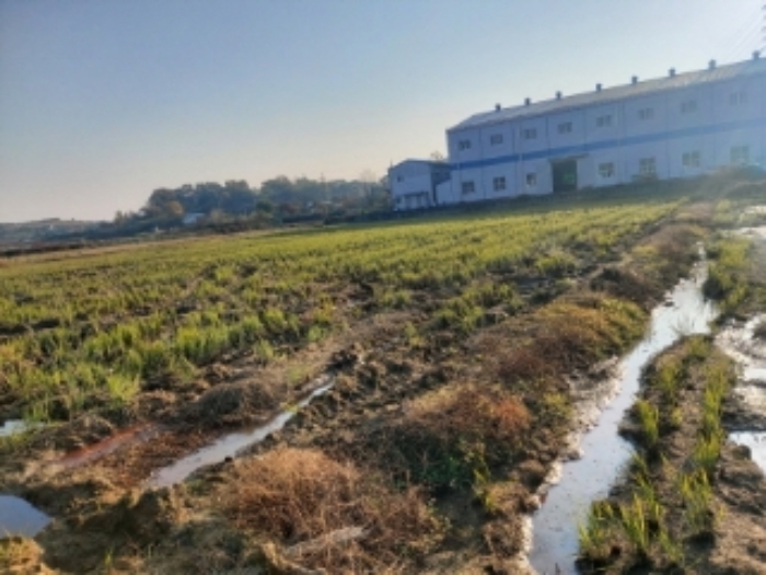 충청남도 당진시 송악읍 석포리 321-29 답 경매 사진 17