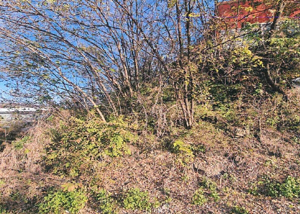 경상북도 칠곡군 왜관읍 낙산리 481-18 외 1필지 공장 경매 사진 6