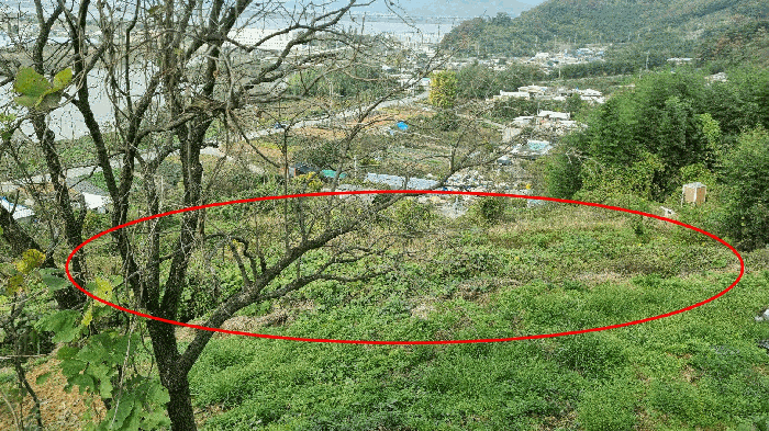 경상남도 김해시 한림면 금곡리 산35-4 외 1필지 임야 경매 사진 8