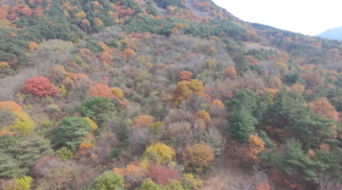 경상남도 거창군 가조면 수월리 146-5 전 경매 사진 18