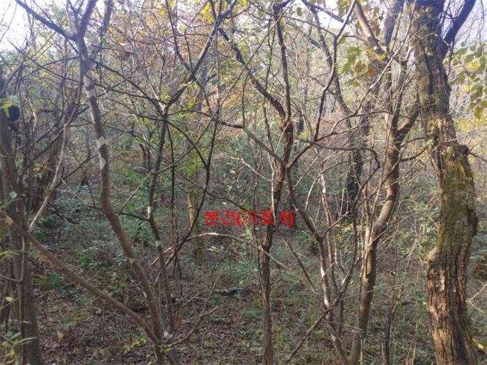 경상남도 거창군 가조면 수월리 146-5 전 경매 사진 24